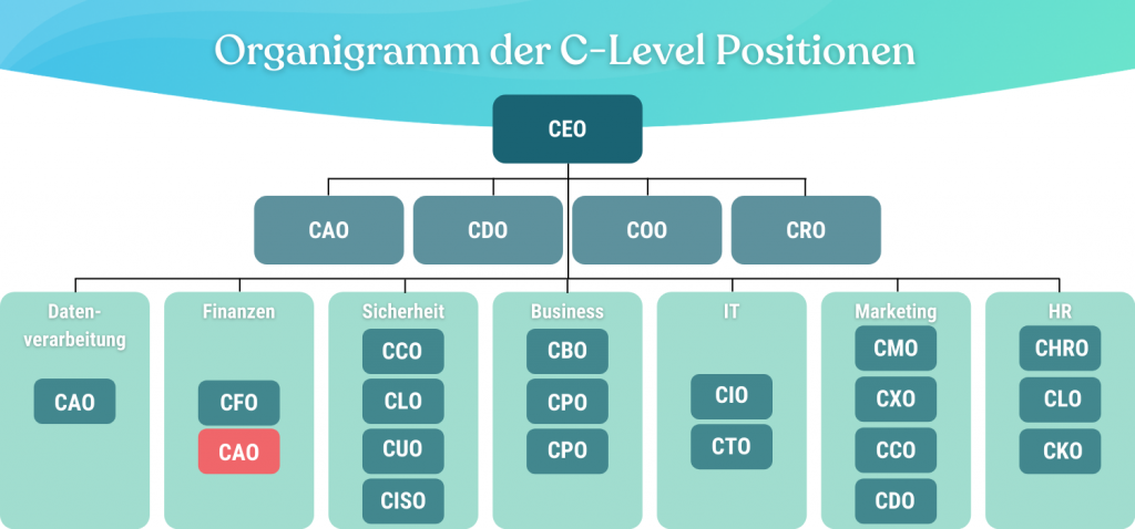 Organigramm-CAO-Chief-Accounting-Officer