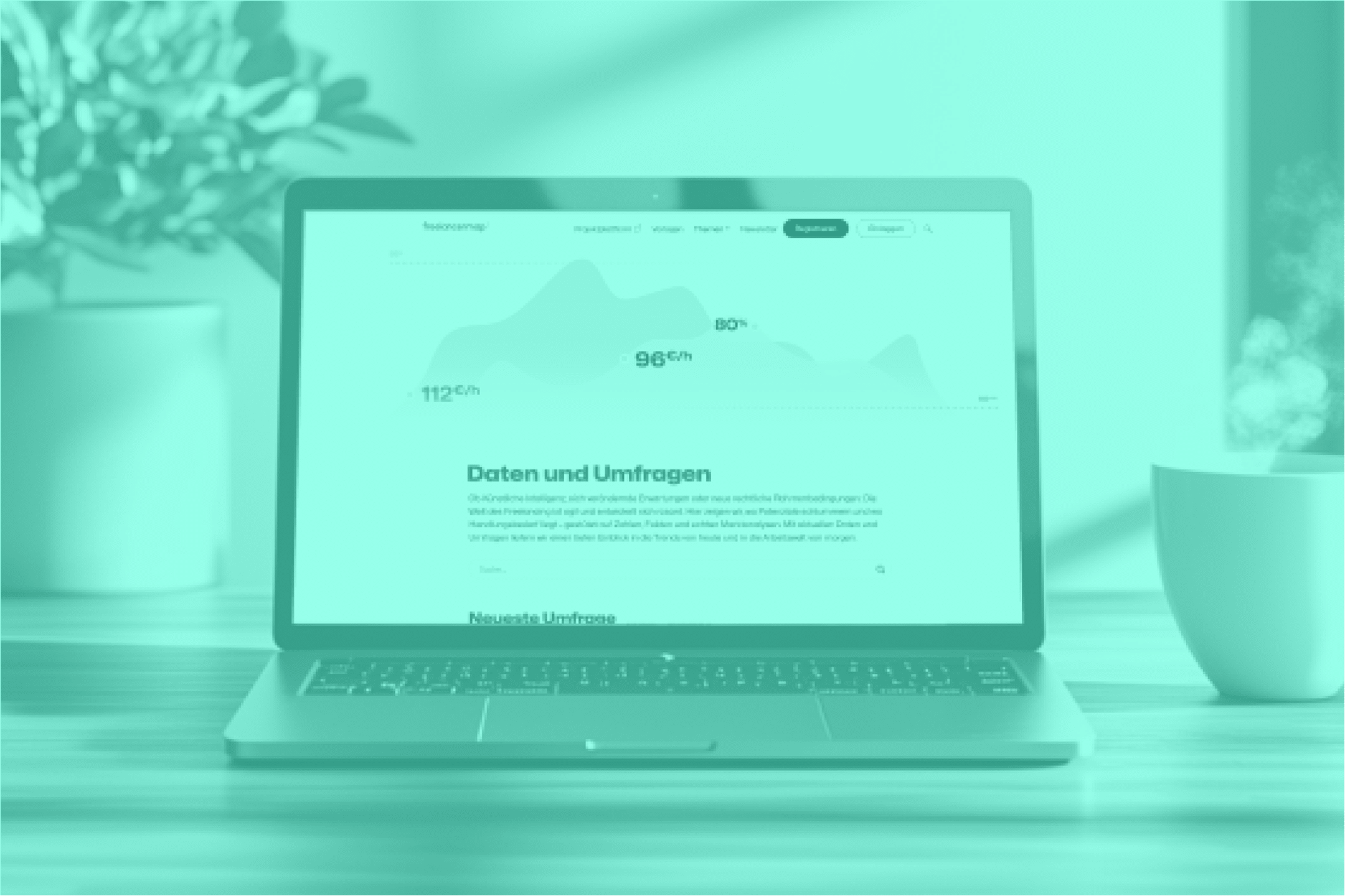 Daten und Umfragen